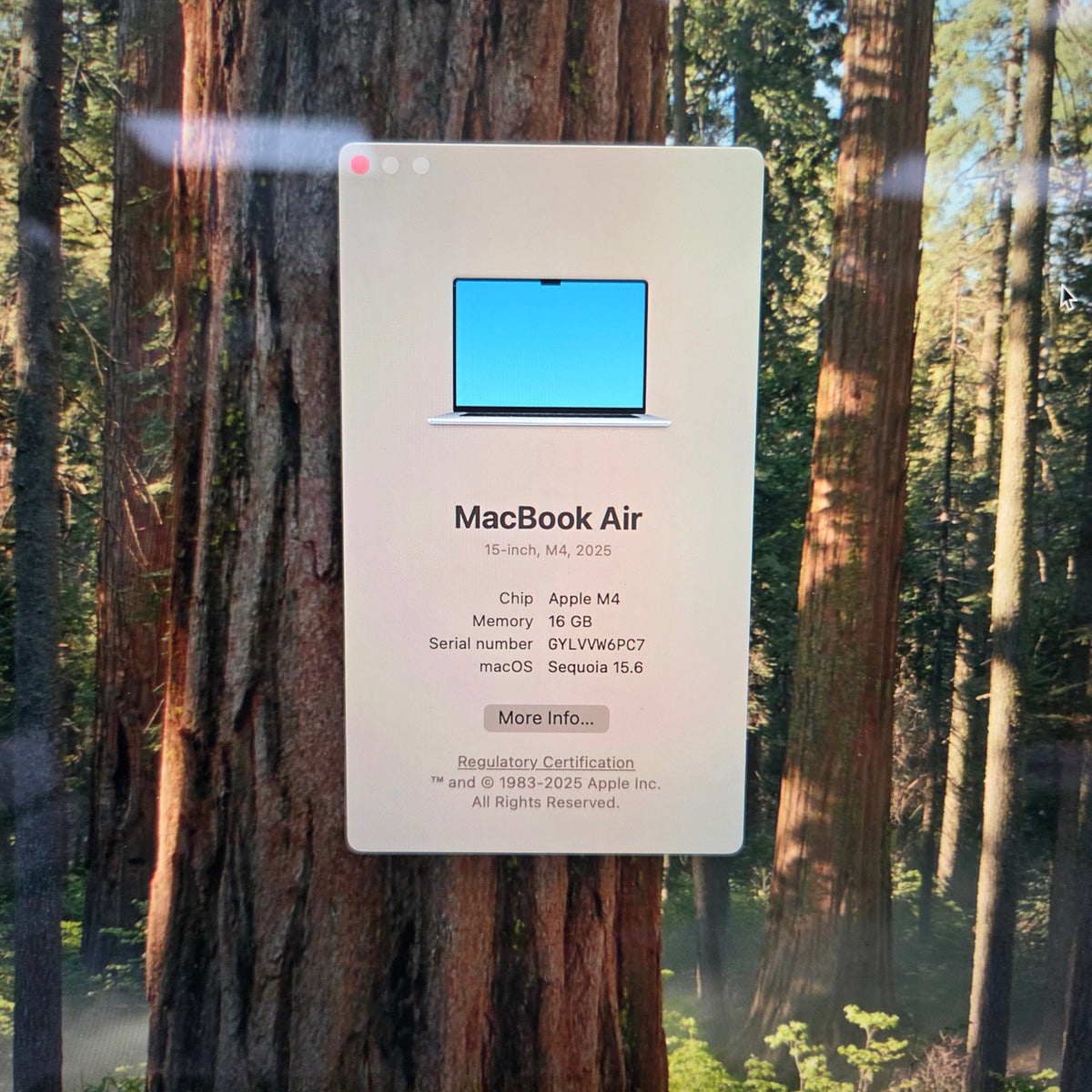 2025 Apple MacBook Air 15" M4 10C GPU 4.5GHz 16GB RAM 256GB SSD A3241