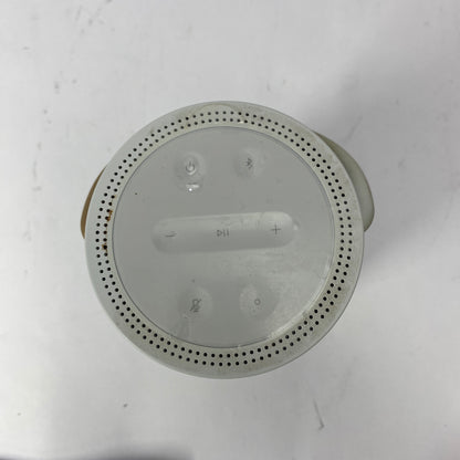 Bose Portable Home Speaker 1 Wireless Portable Bluetooth Speaker Luxe Silver 829393-1300