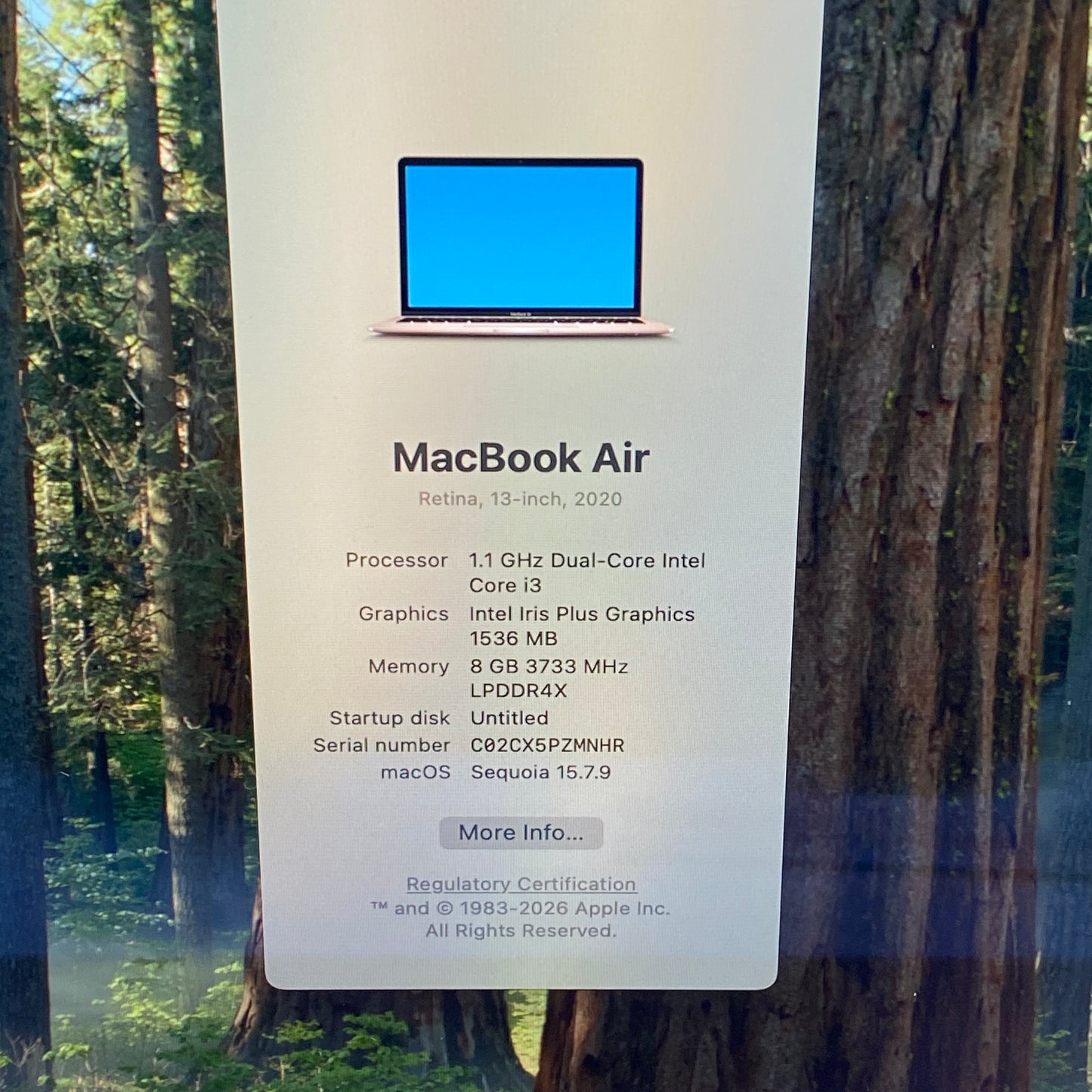2020 Apple MacBook Air 13.3" i3 1.1GHz 8GB RAM 256GB SSD Gold A2179